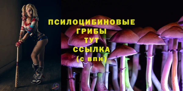 соль ск Лихославль