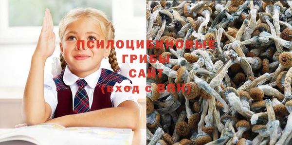 шишки Лиски