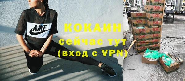 шишки Лиски