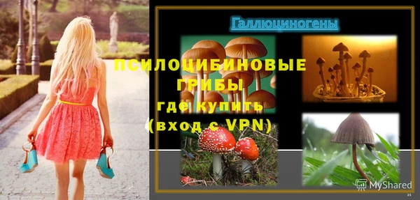 шишки Лиски