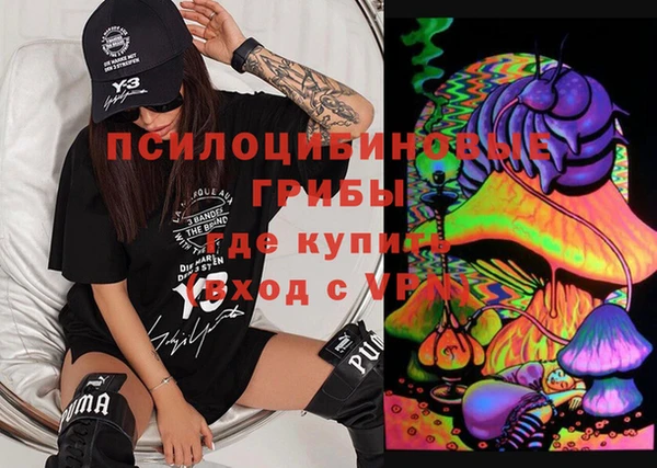 шишки Лиски